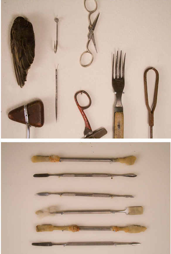 Medical and natural tools