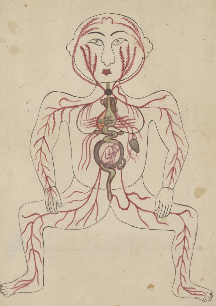 The Five Layers, Mansur ibn Ilyas, Persia 1396