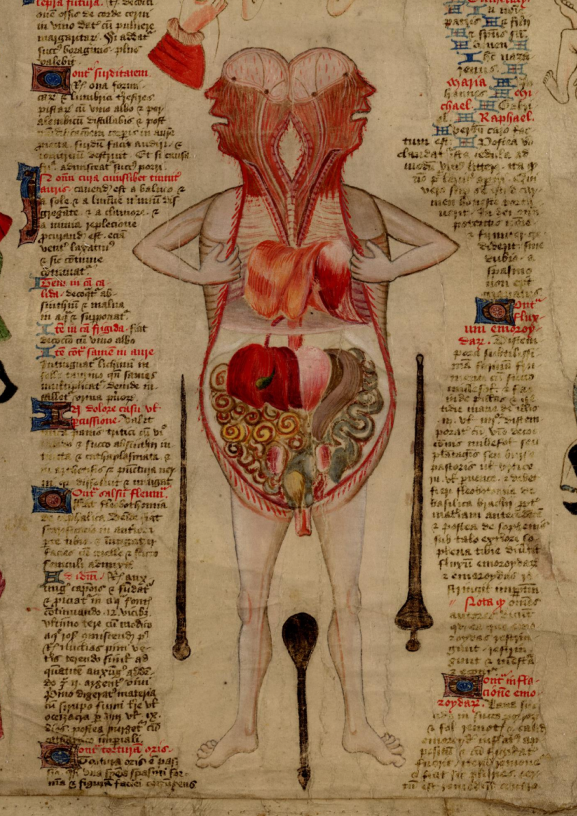 Split cadaver, De Arte Phisicali e de Cirurgia, John Arderne, 1412