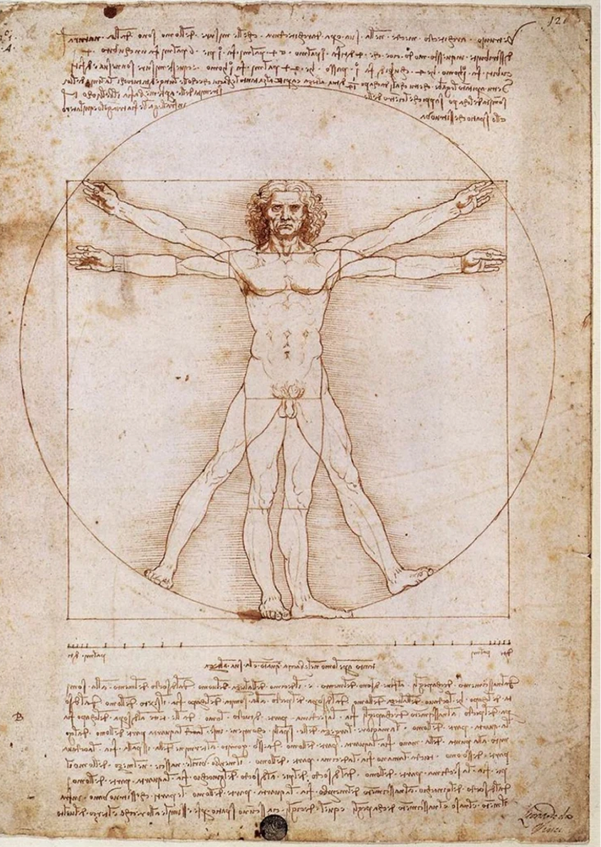 Da Vinci's Vitruvian Man, 1490