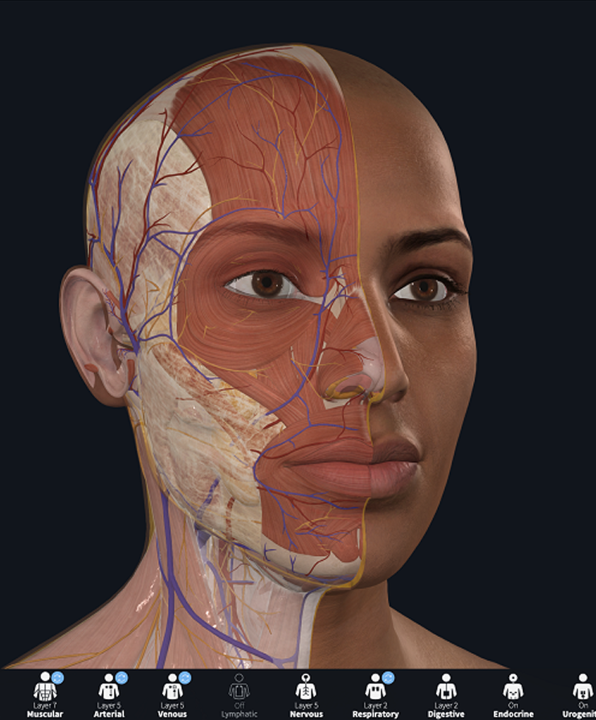 3D4 Medical from Netter's Anatomy