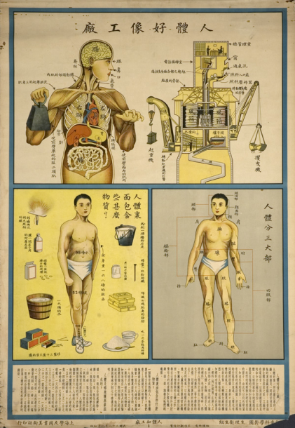 The Human body is like a factory, Shanghai 1933
