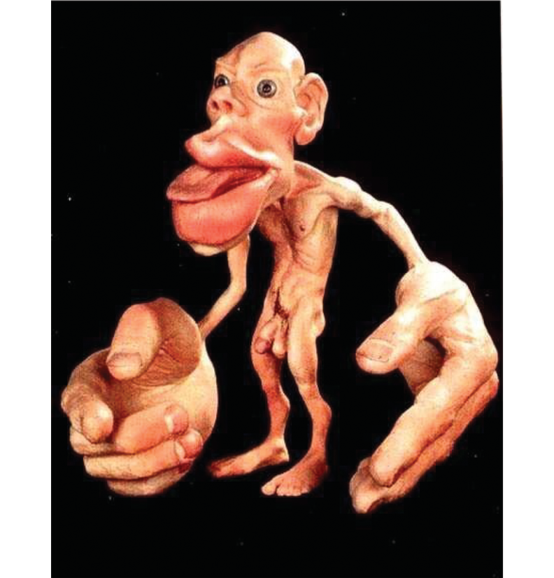 Homunculus