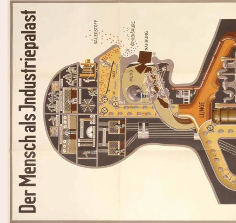 Body as an Industrial Palace