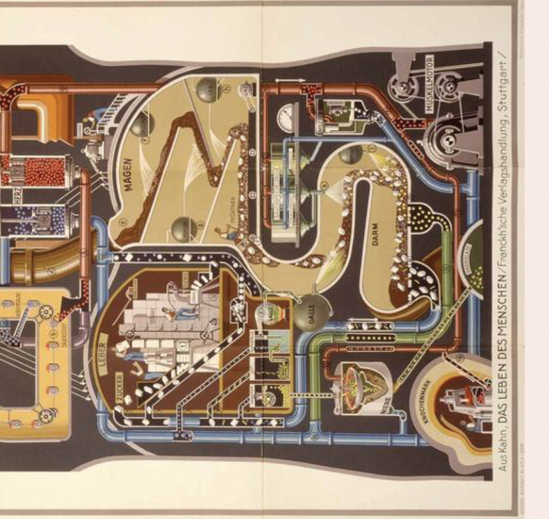 Body as an Industrial Palace detail