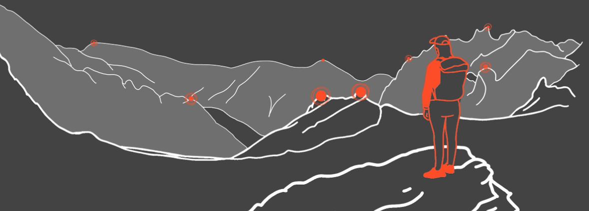 Scout in context showing real-world usage
