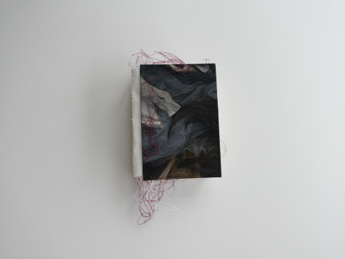 Coptic bound layered book