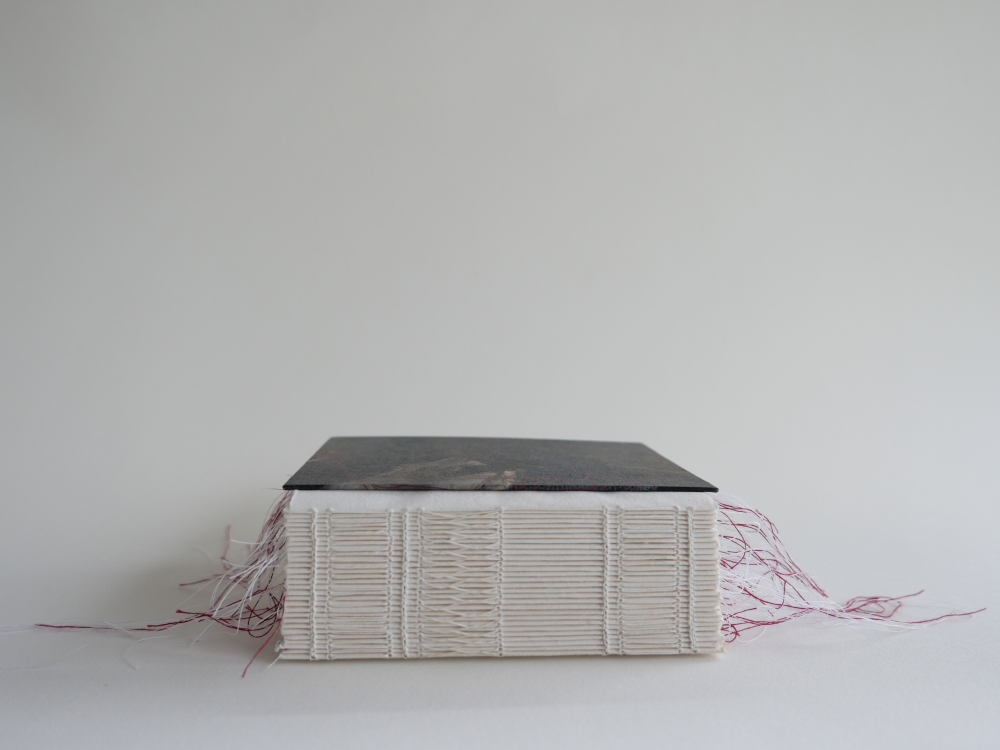 Coptic bound layered book open