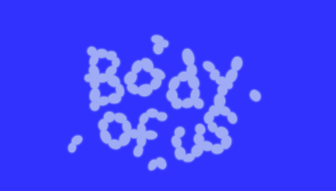 Body of Us installation view