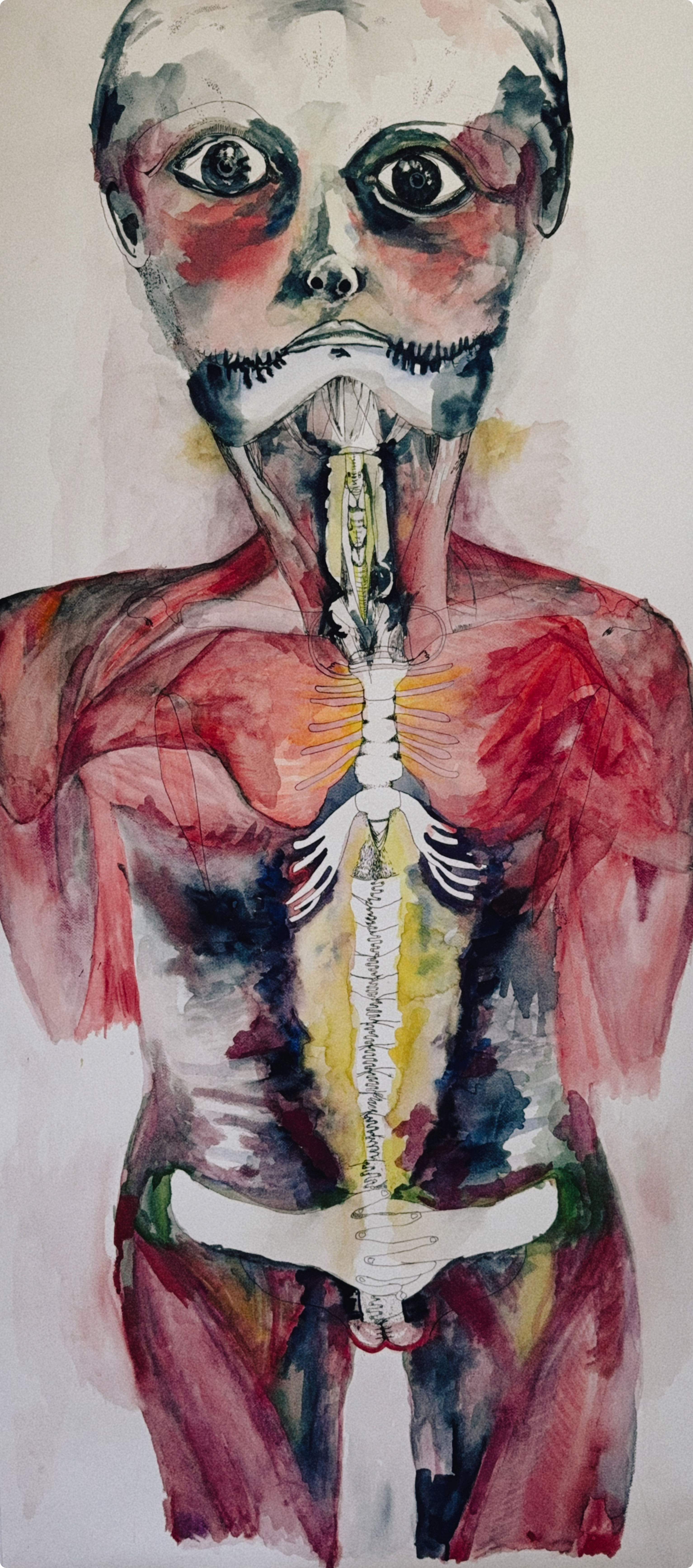 Emotional Anatomies 2: Fear