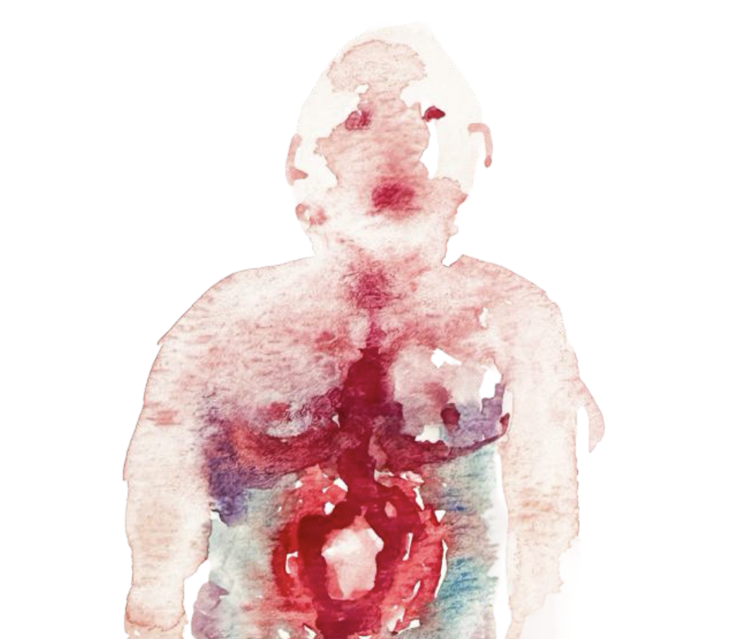 Emotional Anatomies
