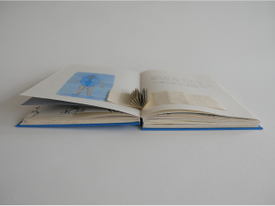 Nerve Bible interior spread