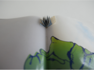 Nerve Bible detail