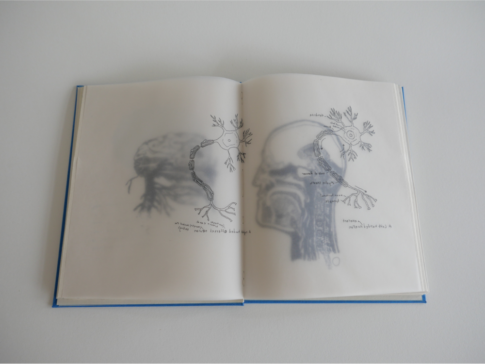 Nerve Bible open spread