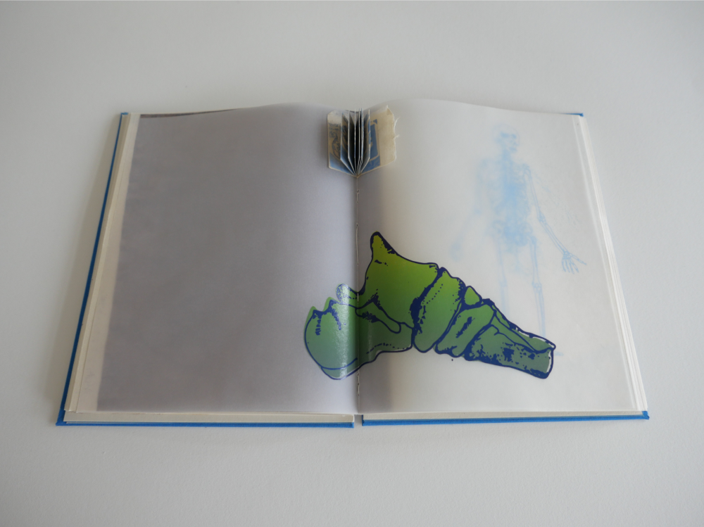 Nerve Bible pages