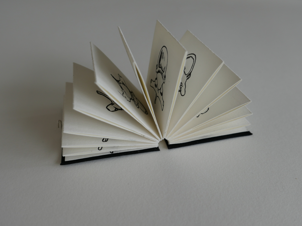 Spine Spring open spread