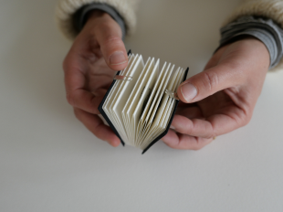 Spine Spring detail